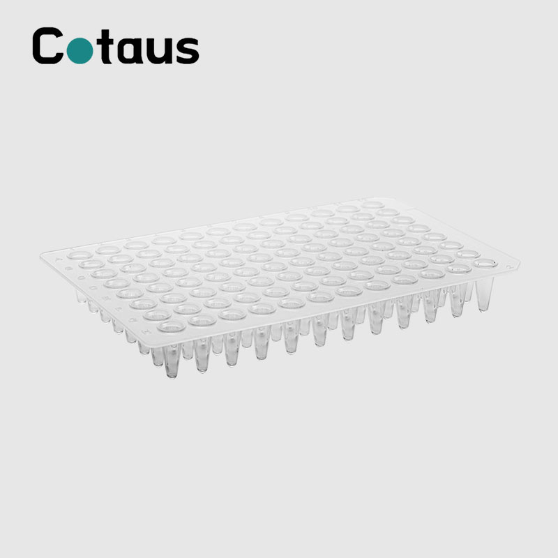 96 څاه 0.1ml شفاف نه سکرټ PCR پلیټ