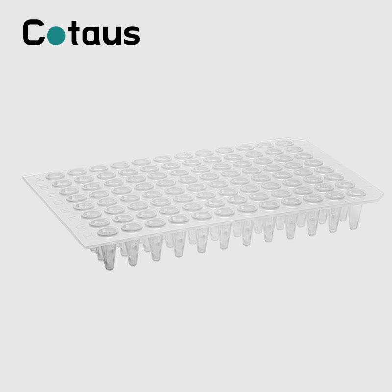 96 څاه 0.2ml شفاف نه سکرټ PCR پلیټ